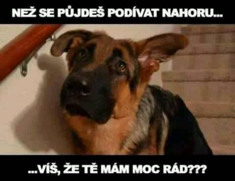 než se půjdeš podívat