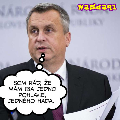 Príspevok 229239
